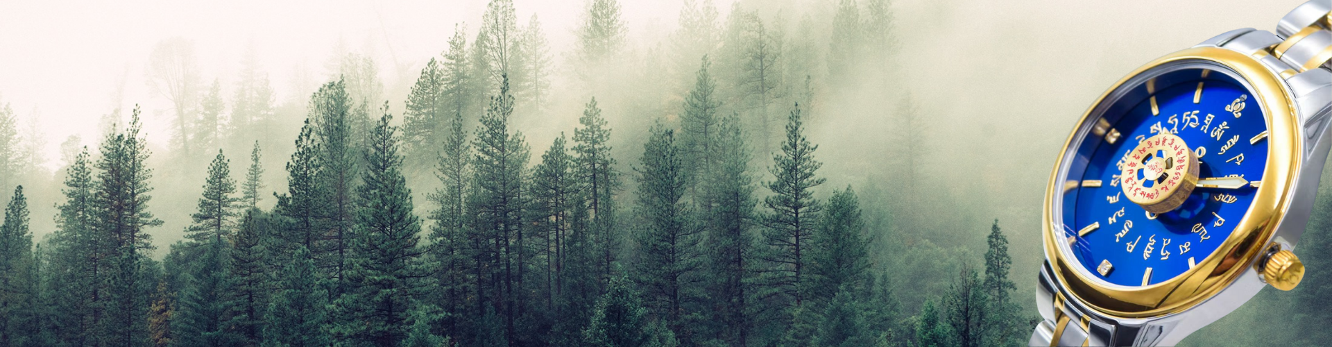 collection-banner-image